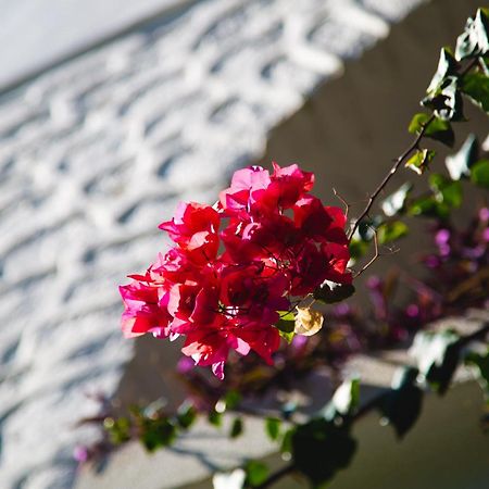 Hotel Karia Princess Bodrum Ngoại thất bức ảnh